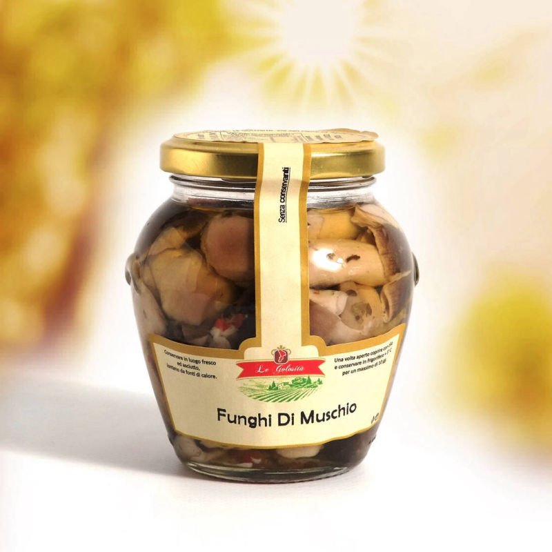 Funghi di muschio ml 314